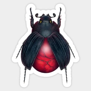 Red Jasper Beetle Sticker